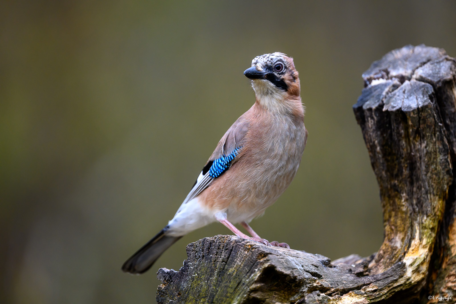 DSC_9855.jpg