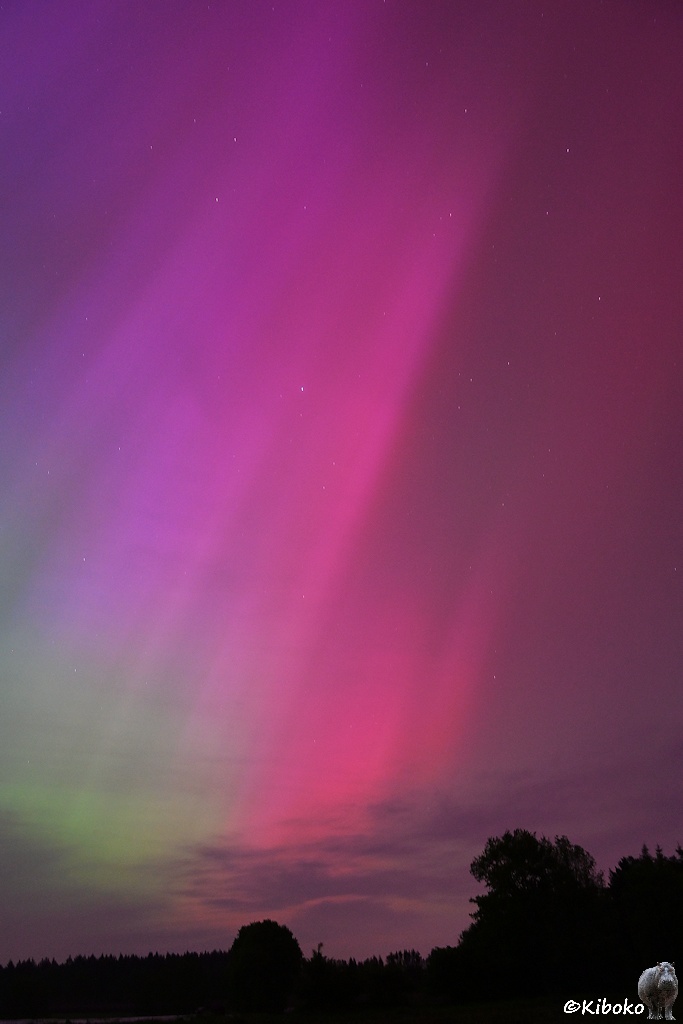 Das Bild ist ähnlich wie das vorherige Bild. Es zeigt aber ein helleres und größeres Gebit in hellviolett.