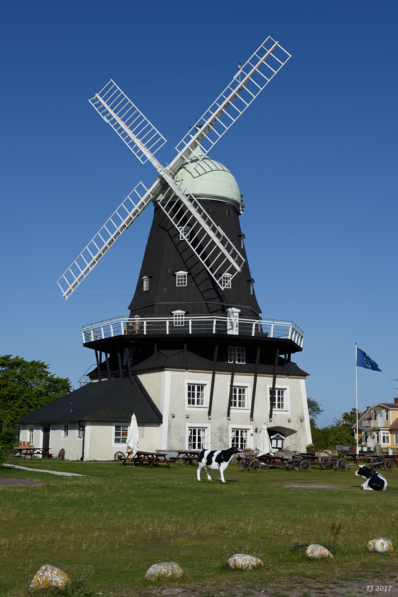 DSC_7823.jpg