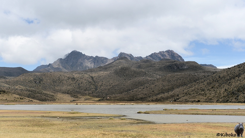 Das Bild zeigt einen flachen See vor kahlen Bergen umringt von kurzem trockenem Gras.