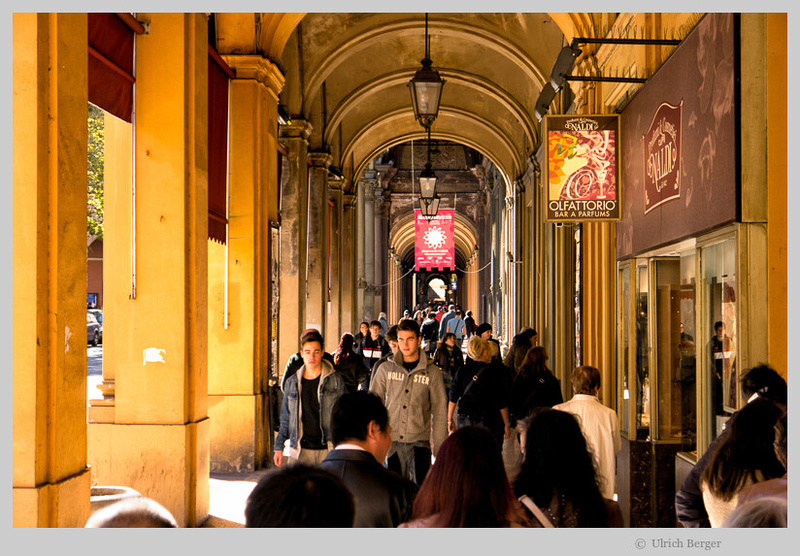 p4138234635-4.jpg