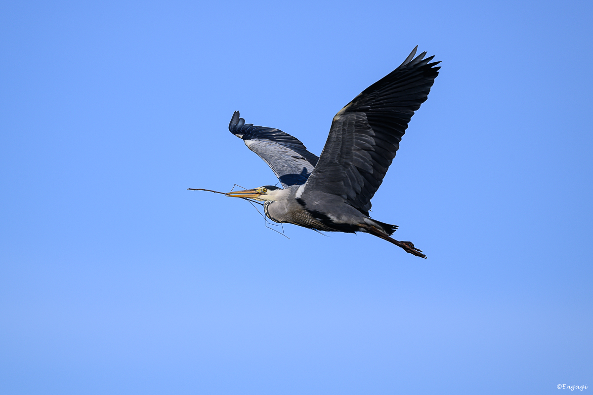 DSC_1571.jpg