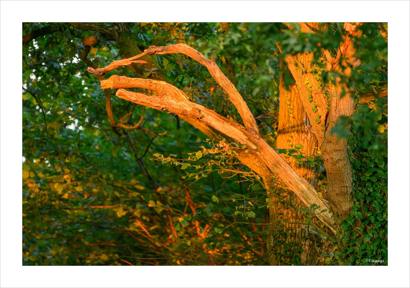 DSC_5030.jpg