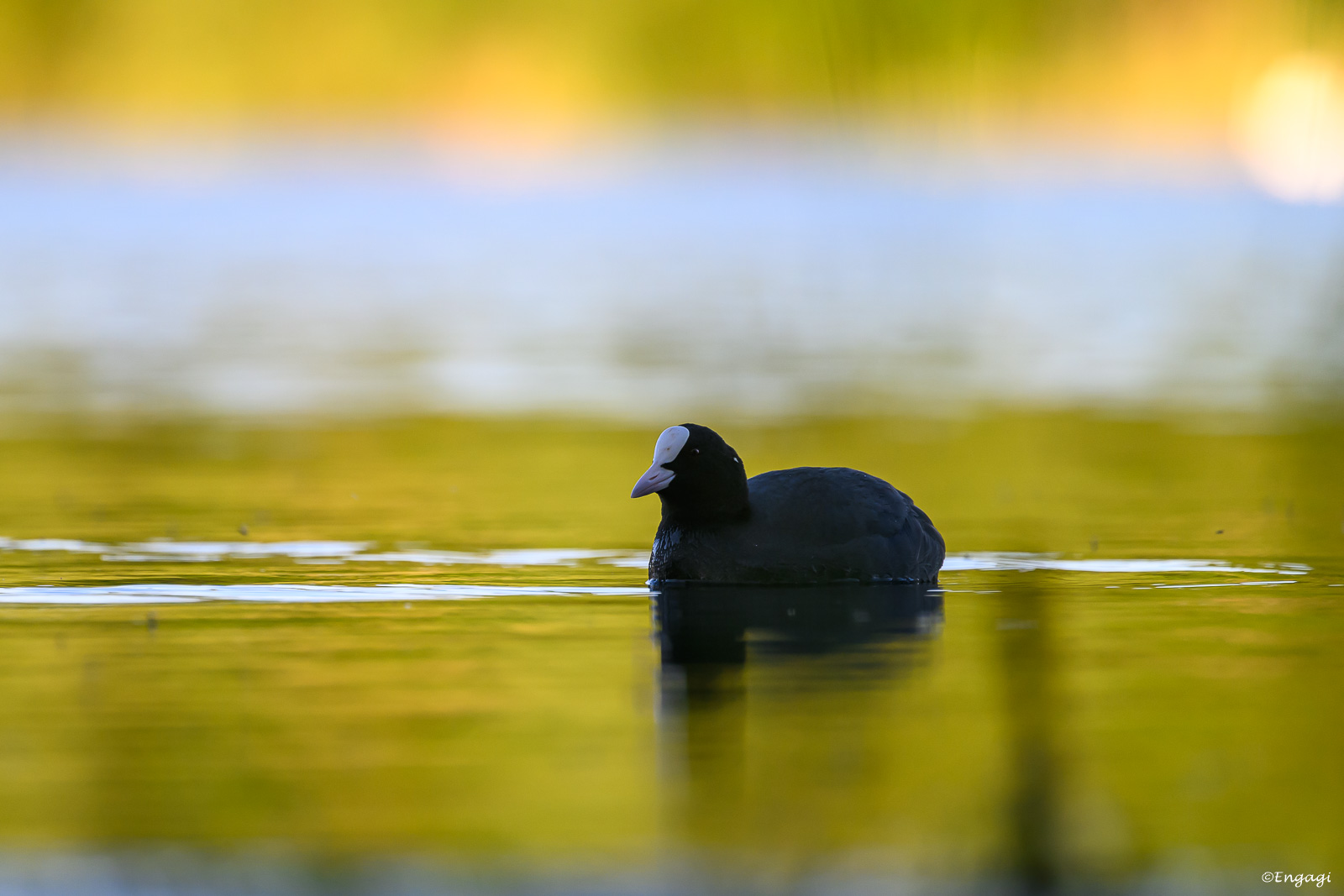 DSC_3866.jpg
