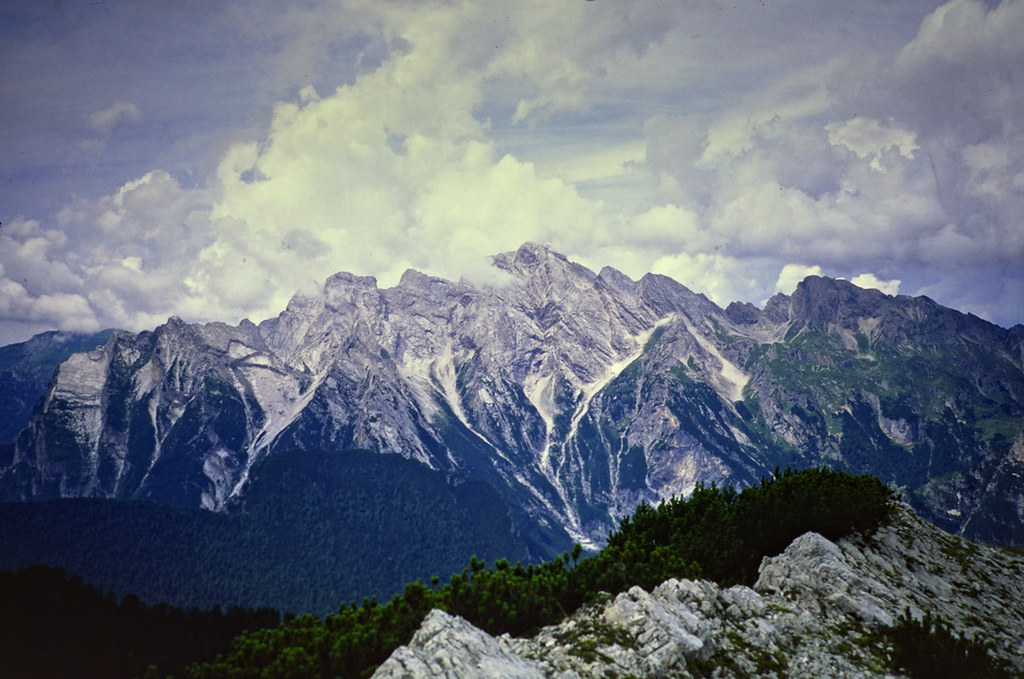 25490264028_671b511e69_b.jpg