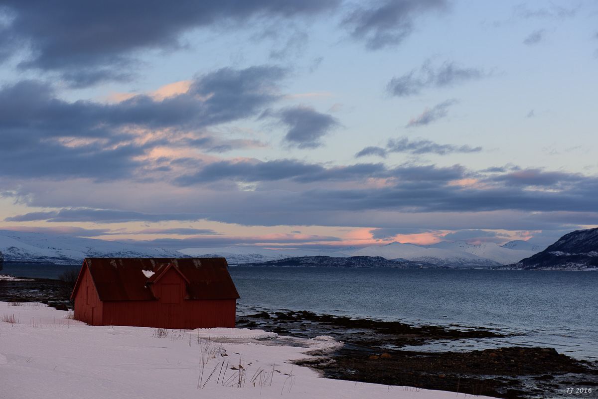 DSC_2539.jpg