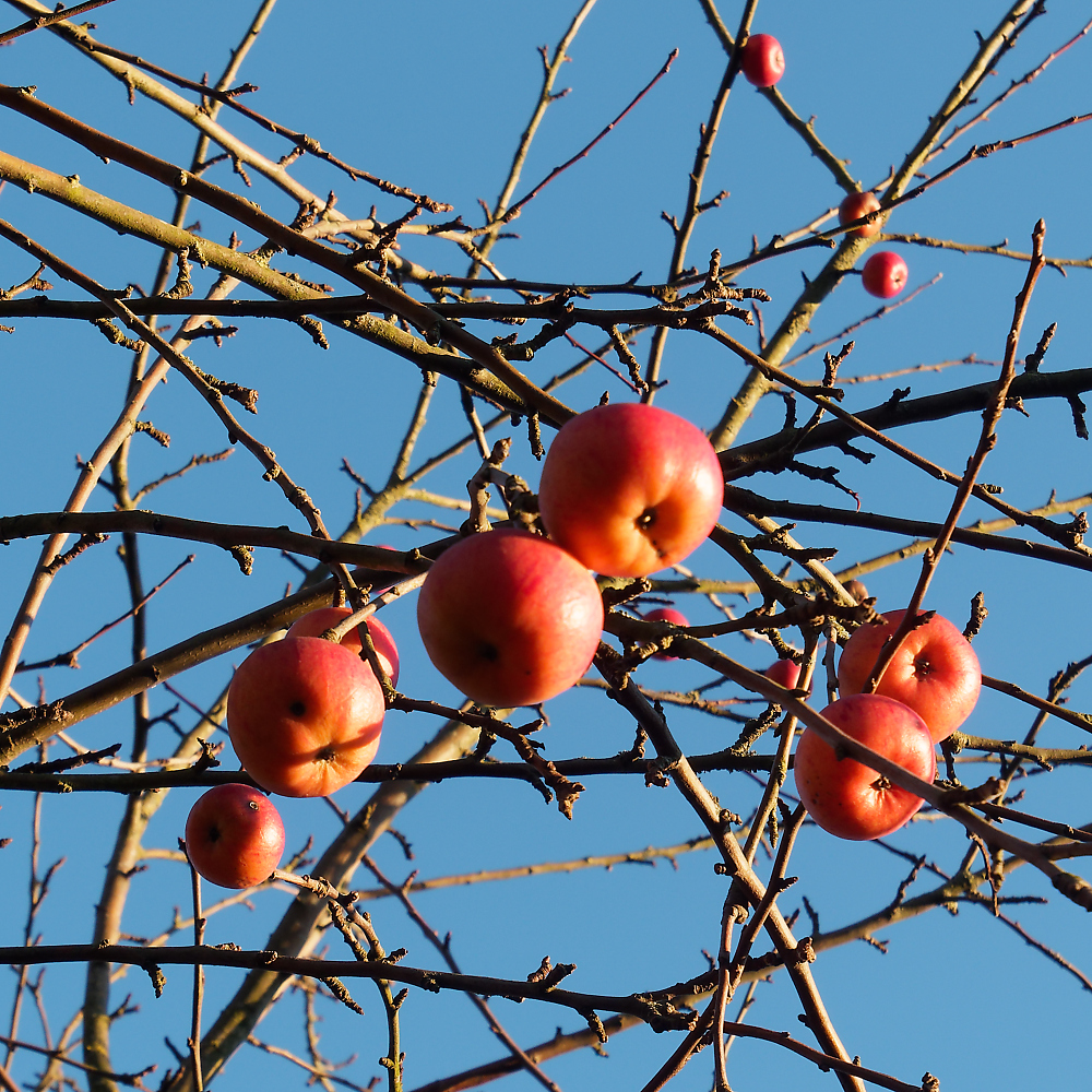 full