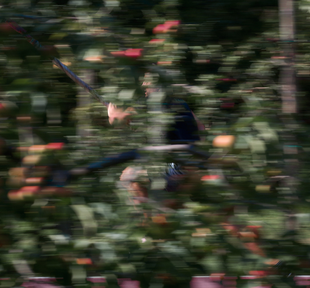 53133960684_3c5caae64d_b.jpg