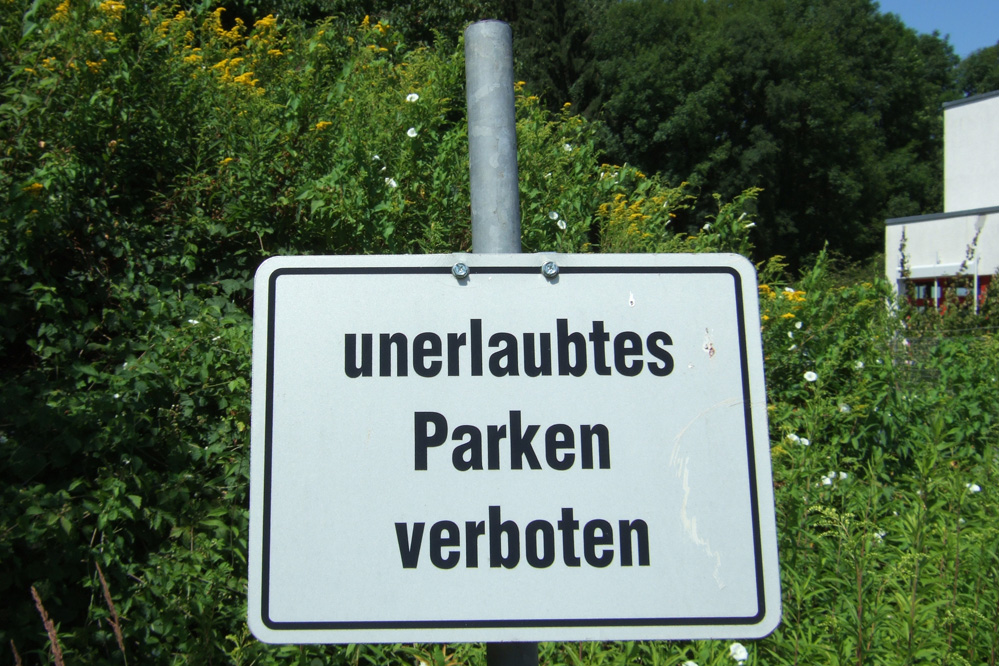 auch_hier.jpg