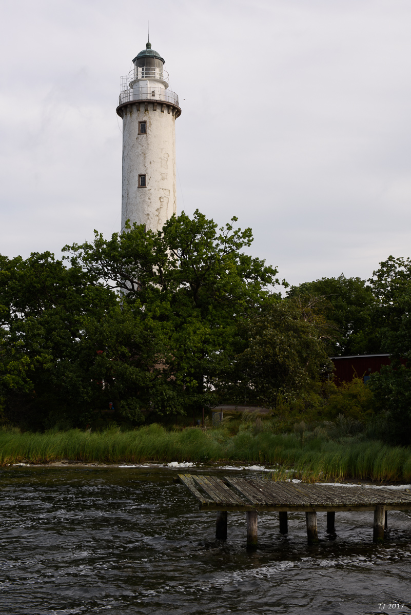 DSC_7802.jpg