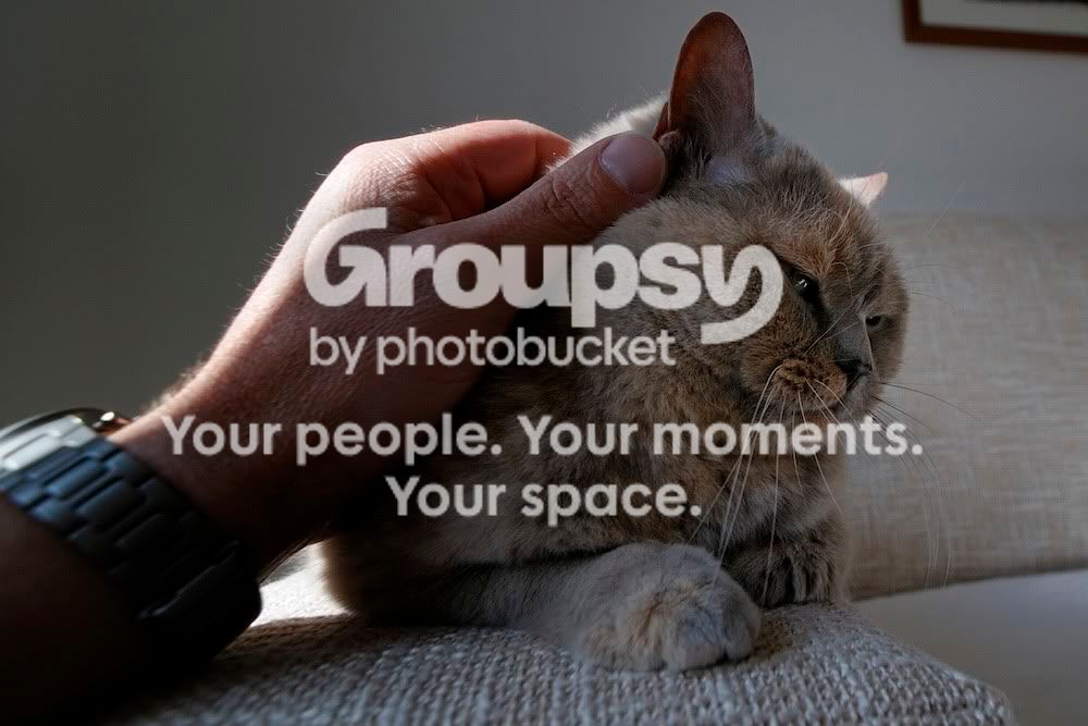 cat09_0001.jpg