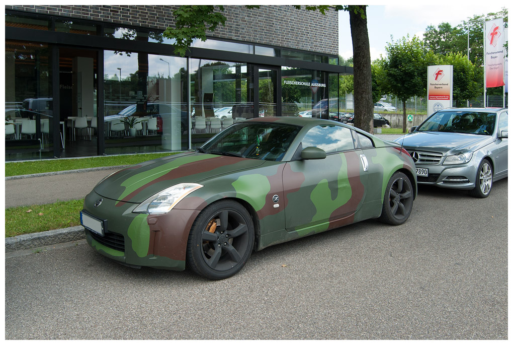 Farbe%20Gruen%20AutoCamouflage001.jpg