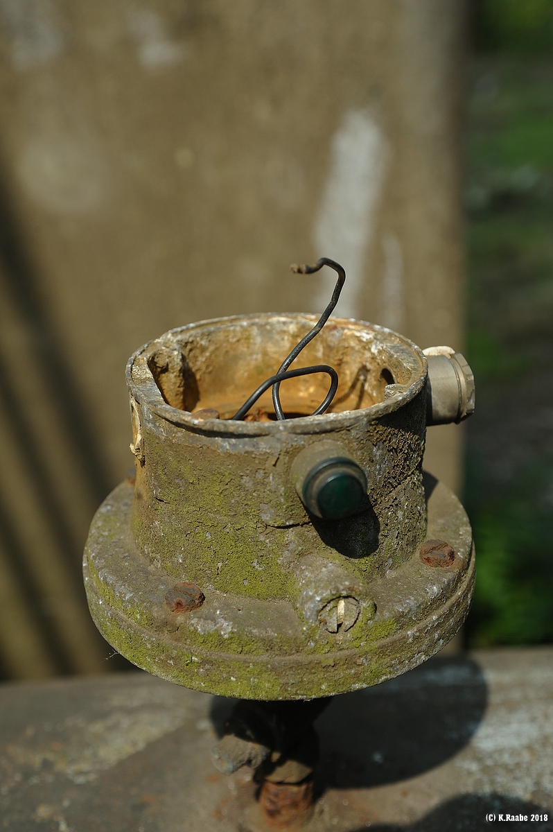 cK.R.-540DSC_0924.jpg