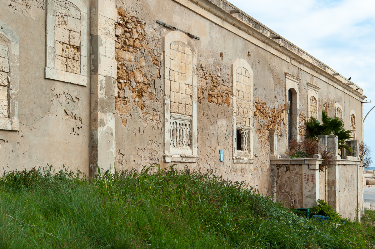 DSD_2429.jpg