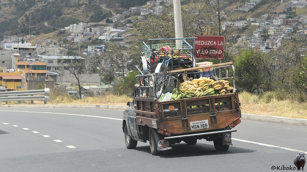 Das Bild zeigt einen alten Pickup mit Holzpritsche von hinten auf einer Straße. Auf der Ladefläche sind grüne und gelbe Bananen, ein Fahrrad und ein Fahrradanhänger. Das Fahrzeug passiert gerade ein braunes Schild mit weißer Schrift: Reduzca La Velocidad.