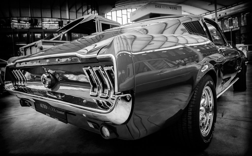 Mustang_4528_sw.jpg
