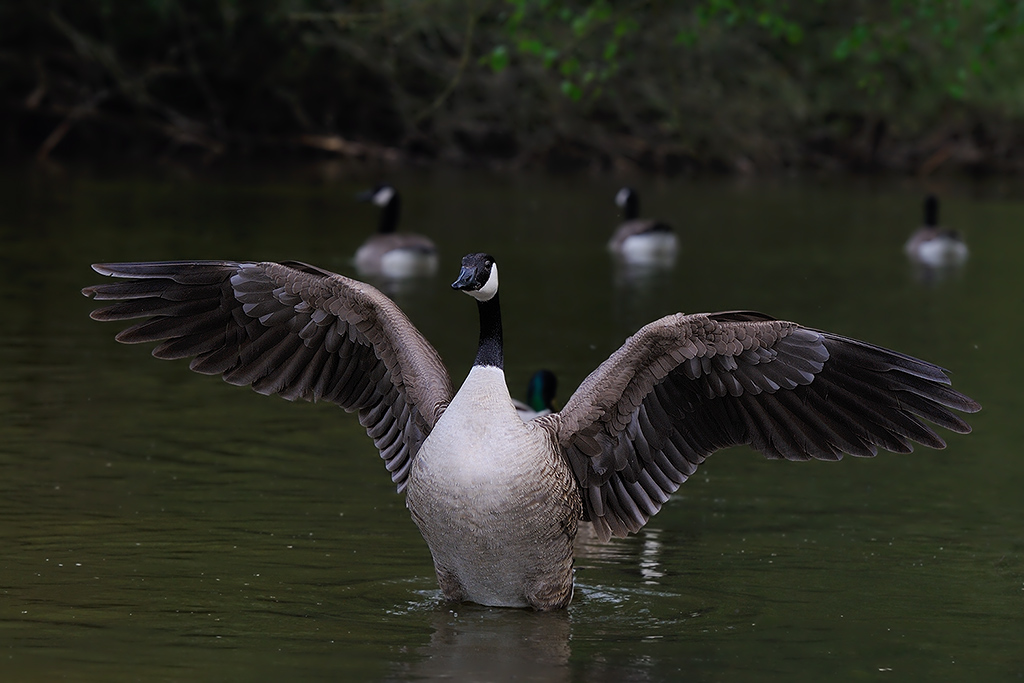 DSC_1614.jpg