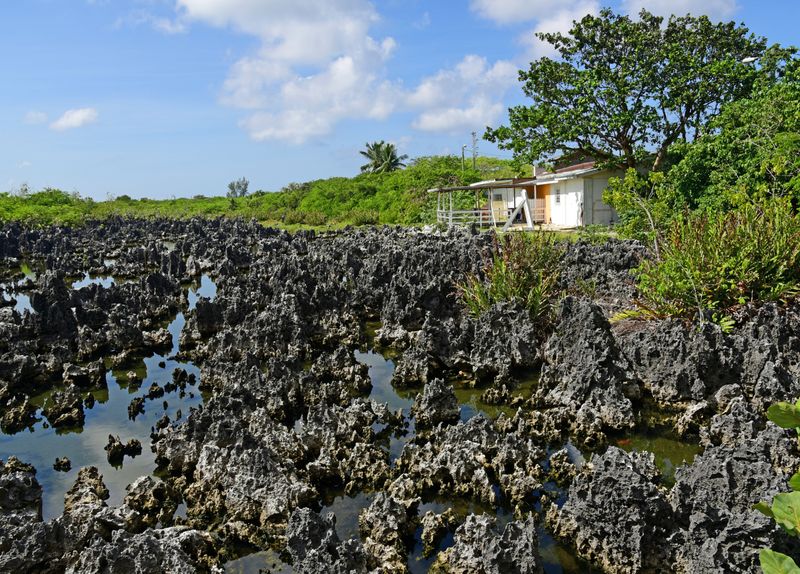 d75_0560.jpg