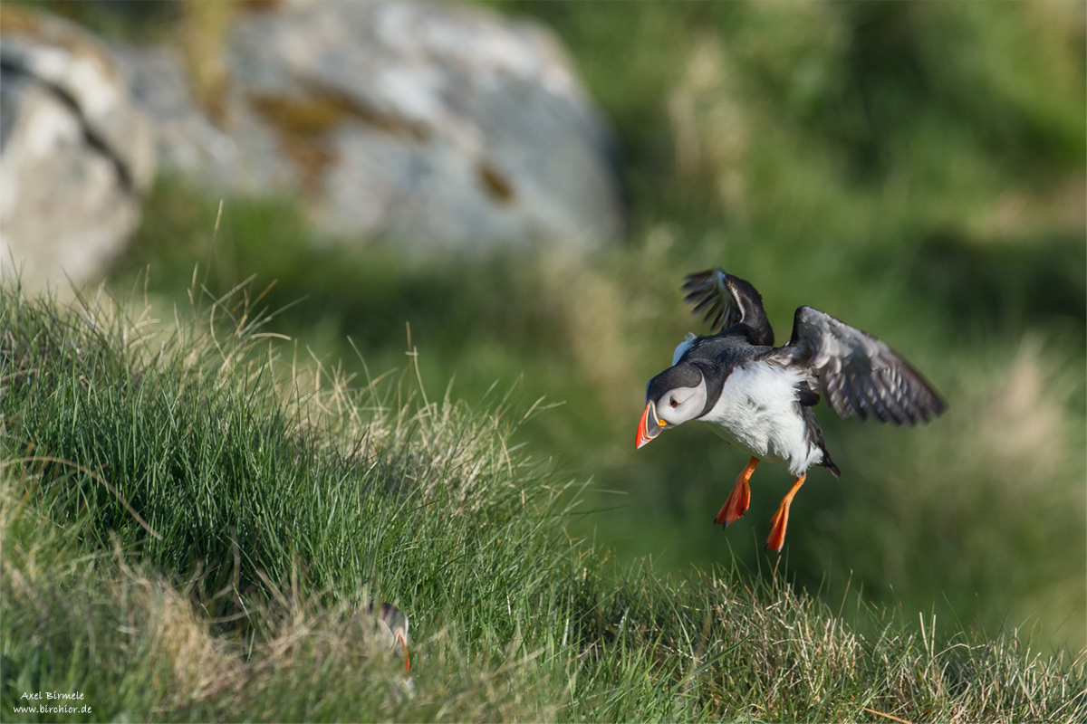 20140514_0234_PS_1200Px.jpg