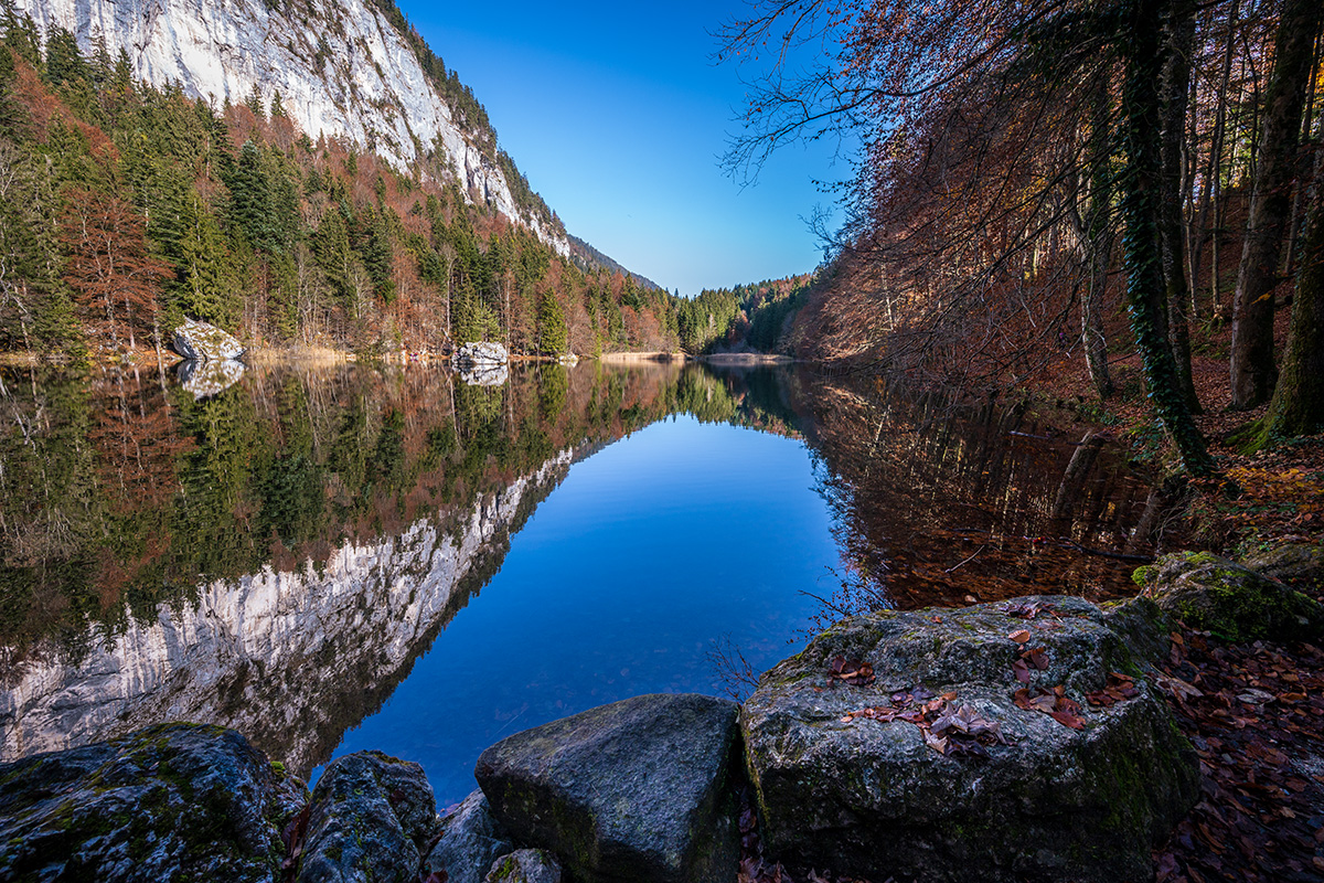 20201107_NZ7_1274NF.jpg