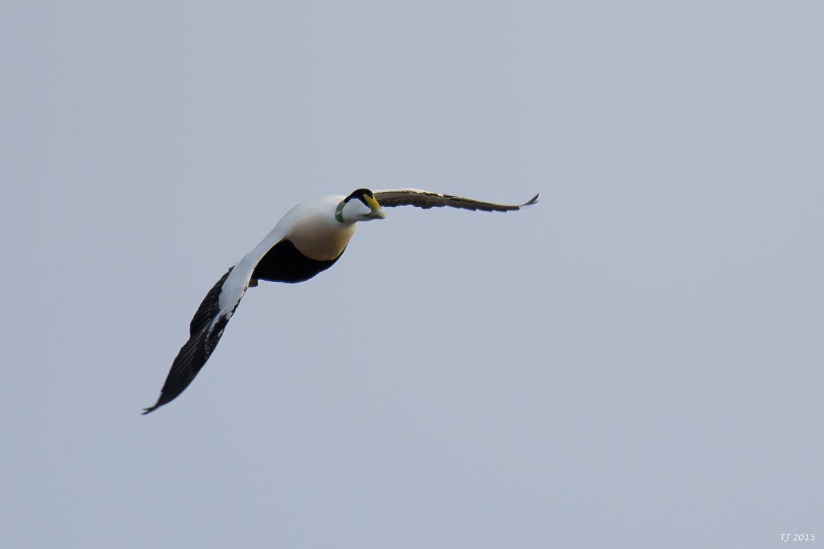 DSC_1566.jpg