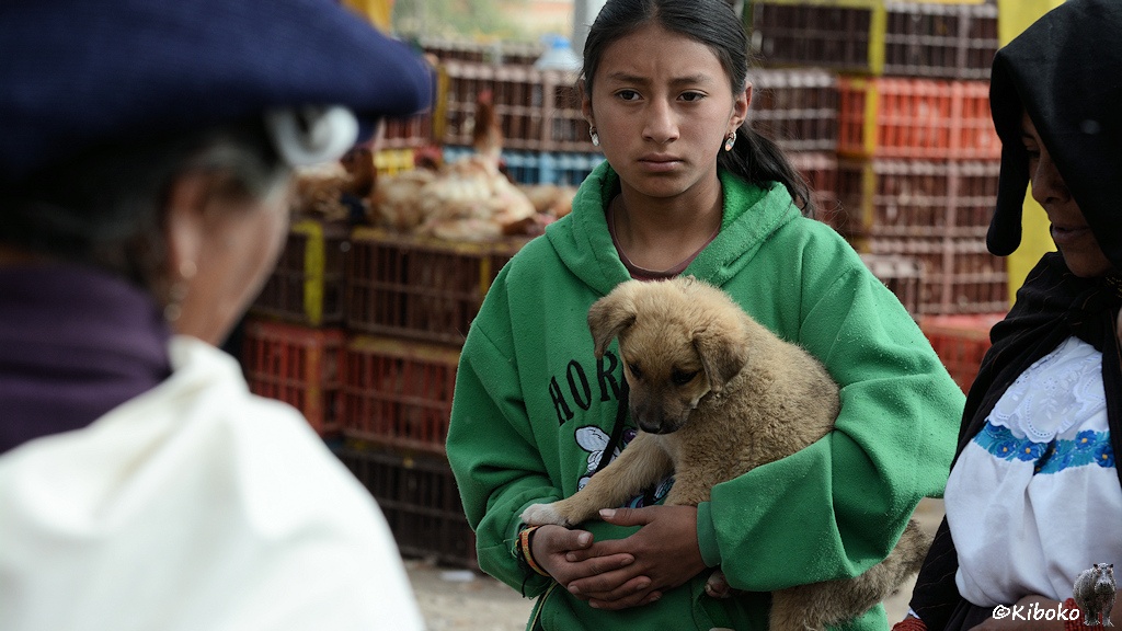 Das Bild zeigt ein Mädchen in einer grünen Jacke. Sie hält einen hellbraunen Hundewelpen im Arm. Rechts daneben steht am Bildrand die Mutter in traditioneller Kleidung. Am linken Bildrand ist unscharf die Verkäuferin, die ebenfalls traditionell gekleidet ist. Im Hintergrund sind unscharf Berge brauner Plastikstiegen mit Hühnern.