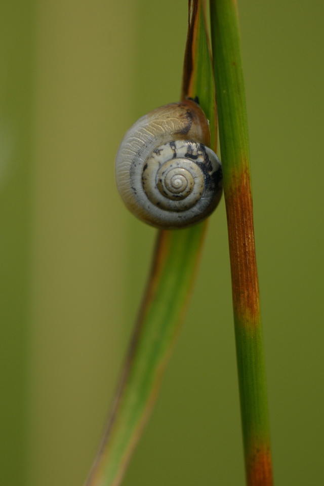 23149417rz.jpg