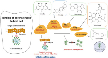 www.sciencedirect.com
