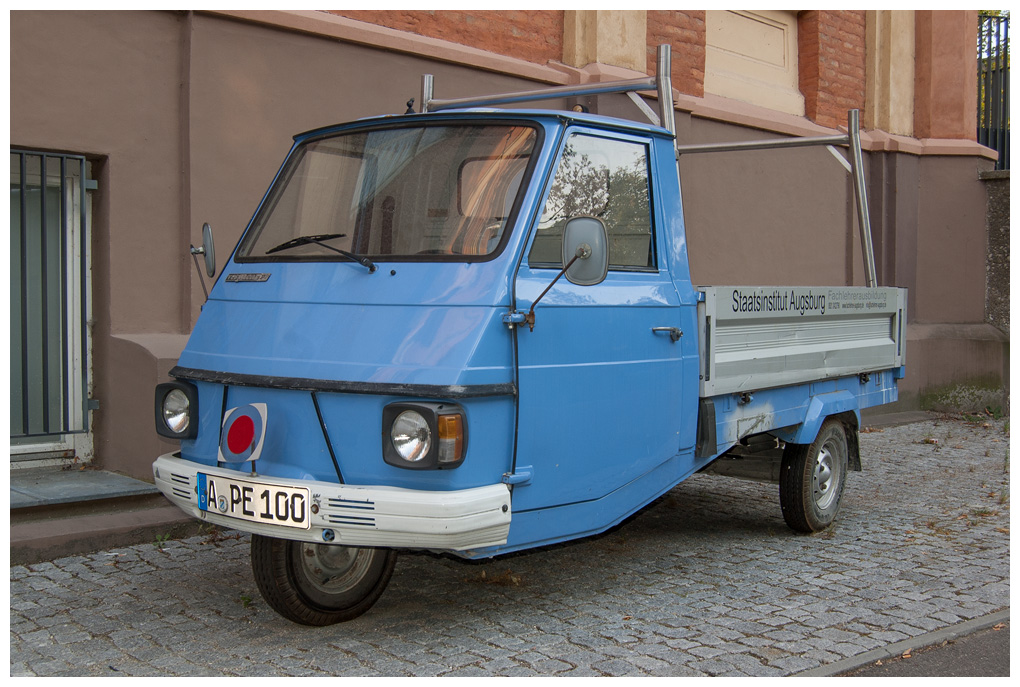 blaueraffe001.jpg