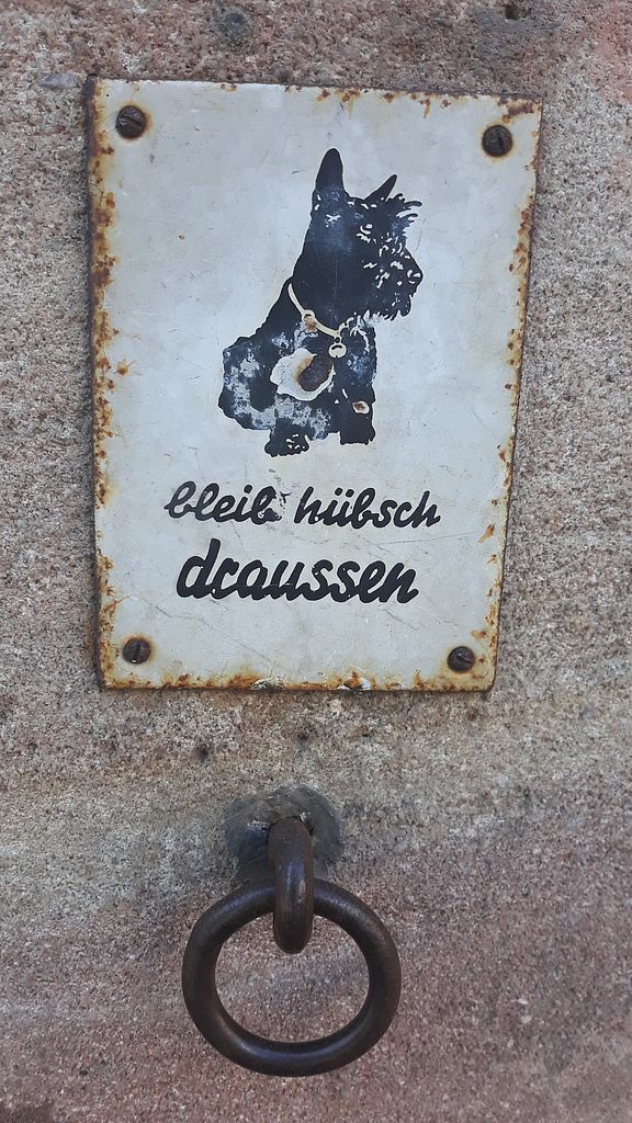 draussen.jpg