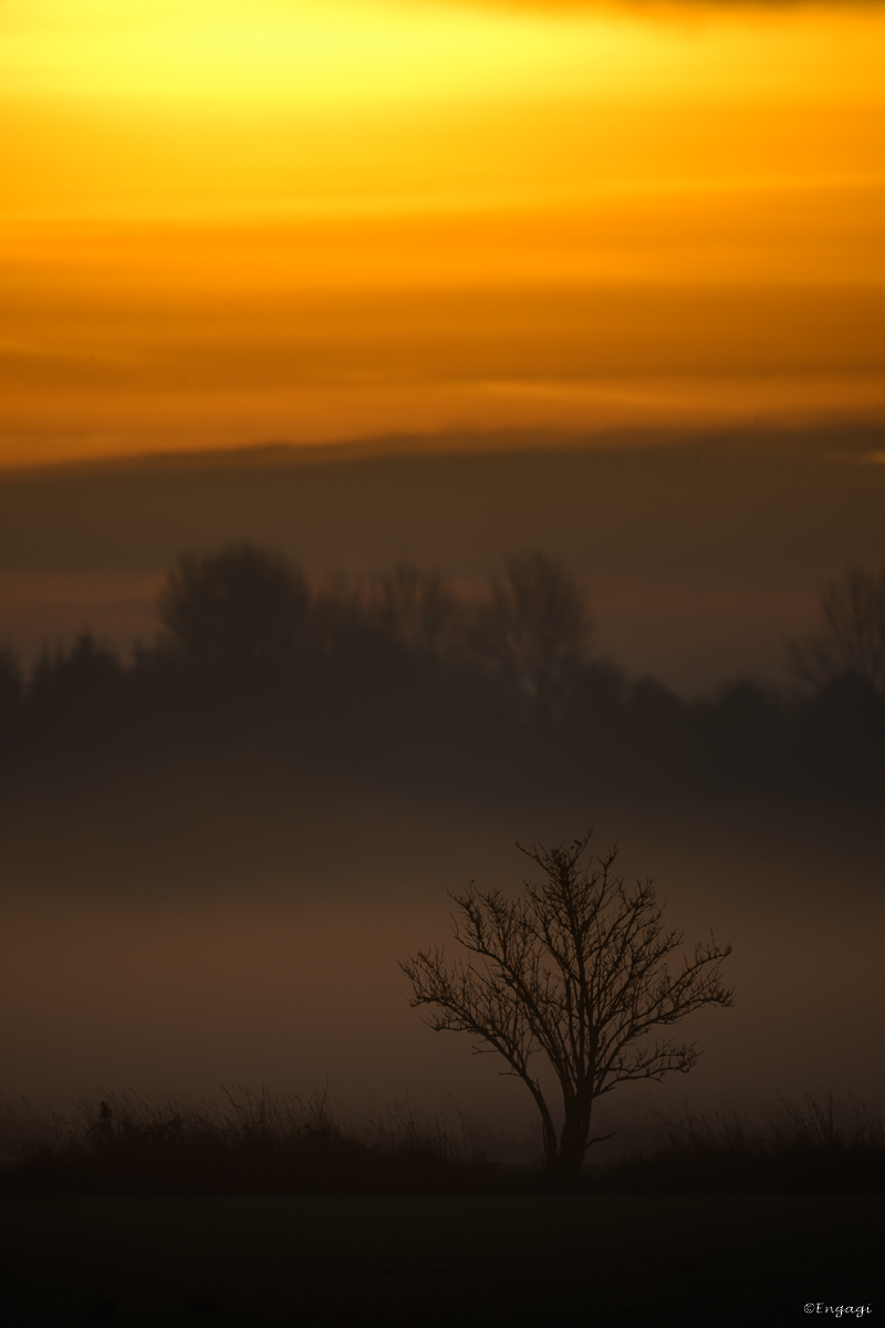 DSC_6472.jpg