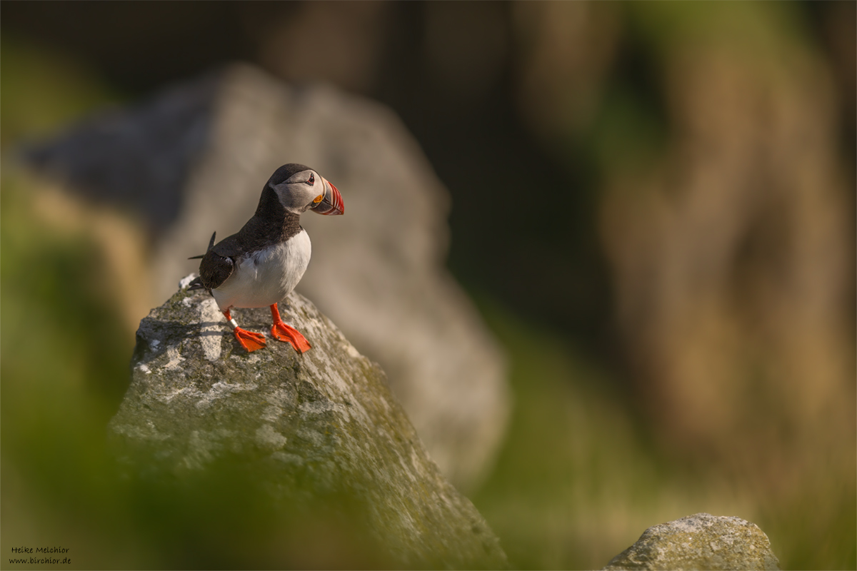 20140514_0085_PS_1200Px.jpg