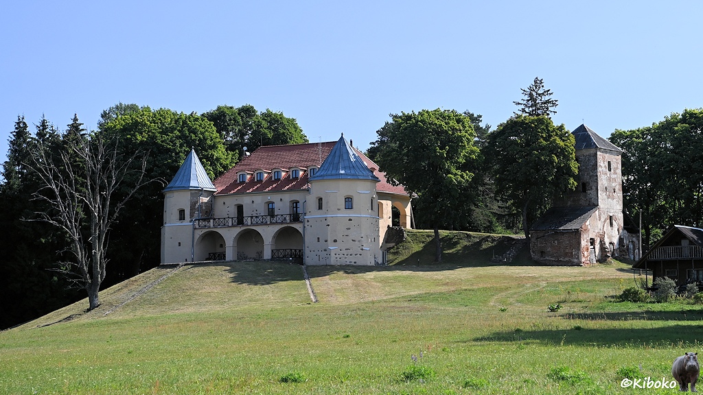 Das Bild zeigt ein kleines Schloss. An den Ecken sind zwei achteckige Türme mit Blechdach. Dazwischen ist ein rechteckiges, beigefarbenes Gebäude mit Walmdach und mit einem dreibogigem Vorbau. Rechts steht separat ein viereckiger Wehrturm. Im Vordergrund ist eine Wiese. Im Hintergrund stehen hohe Bäume.