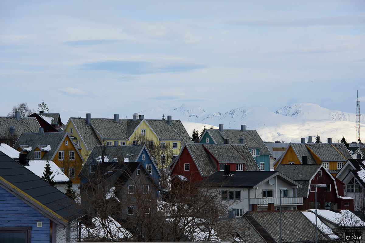 DSC_2972.jpg