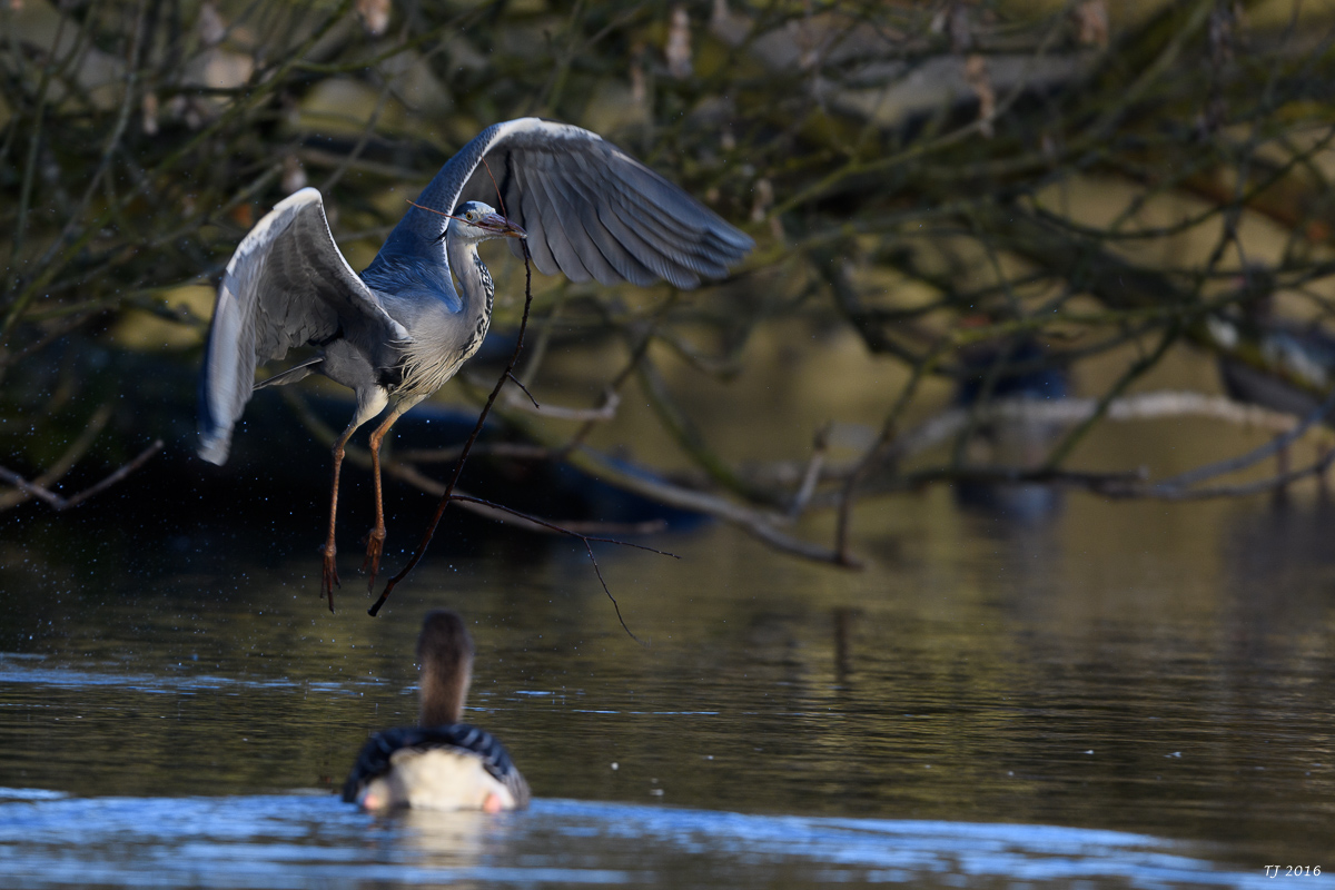 DSC_0281.jpg