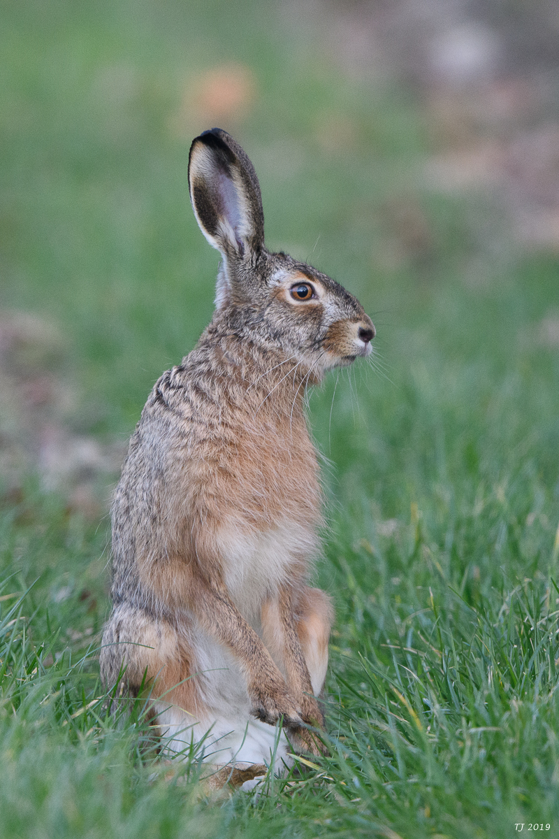 DSC_7192.jpg