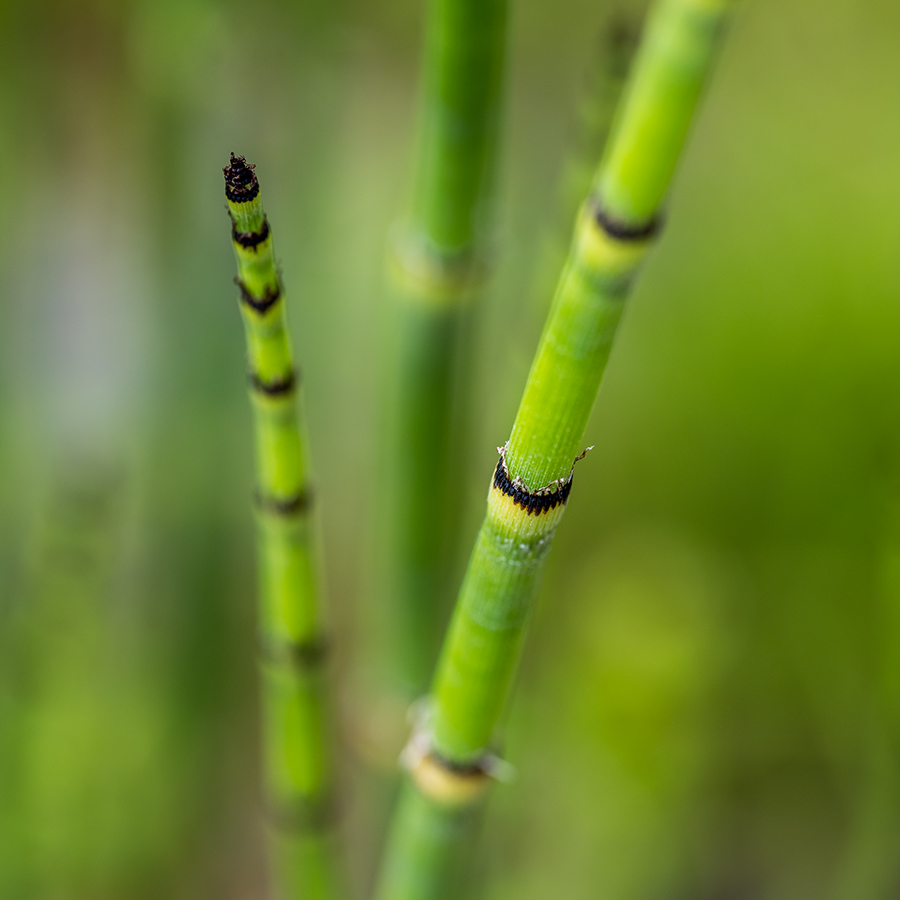 20250627_NZ7_2841qNF.jpg