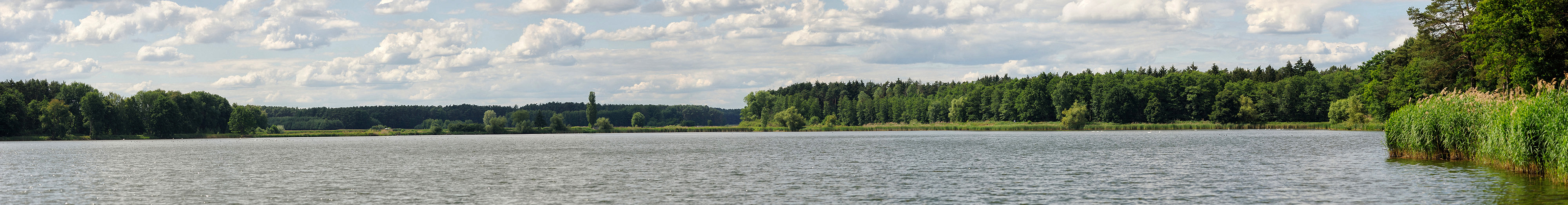 DW_Pano2014.jpg