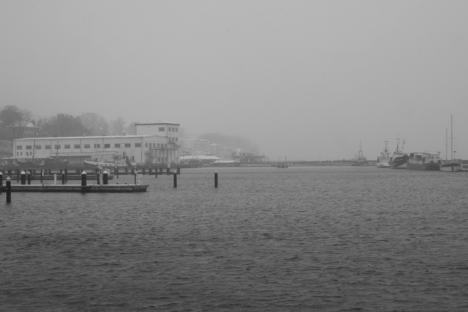 20250111-114616bw-2k.jpg
