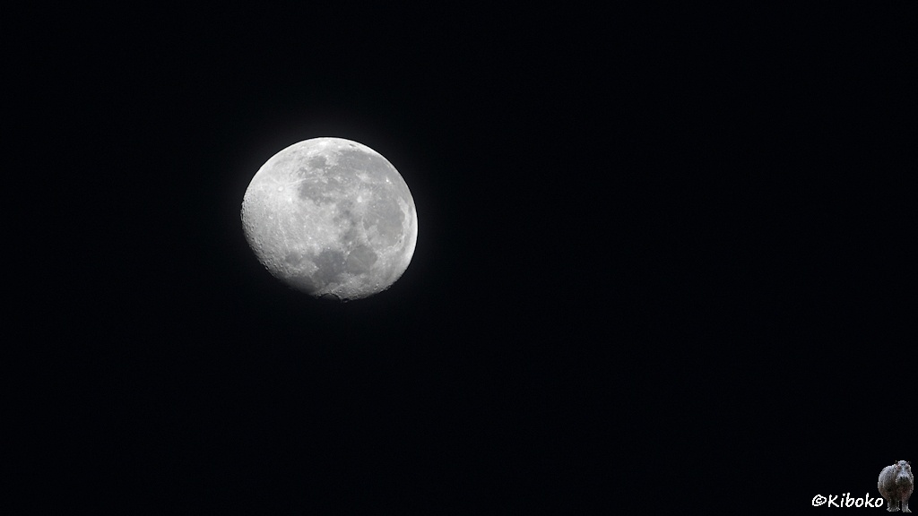 Das Bild zeigt den Vollmond in schwarzer Nacht.