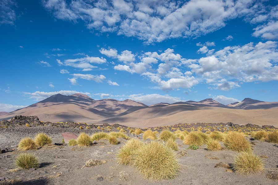atacama16_038.jpg