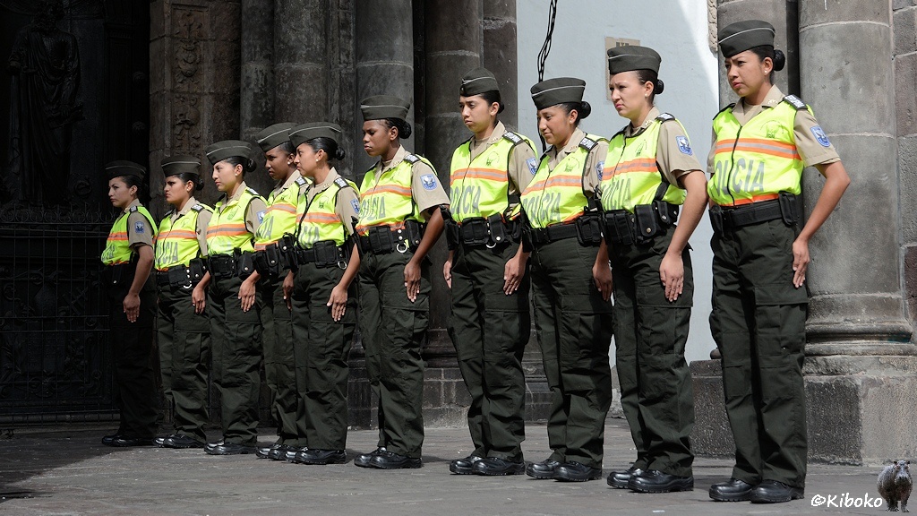 Das Bild zeigt 10 junge Frauen in einer Reihe. Sie tragen olive Hosen, schwarze Stiefel ein olives Schiffchen und neonfarbene Warnwesten mit der Aufschrift: Policia.