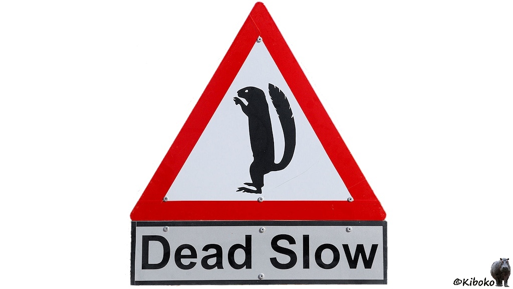 Das Bild zeigt ein dreieckgies Schild mit der Spitze nach oben und rotem Rand. Darauf ist ein auf den Hinterbeinen stehendes Hörnchen mit senkrecht stehenden Schwanz auf weißem Grund. Darunter ist ein rechteckgies Schild mit dem Text: DEAD SLOW.