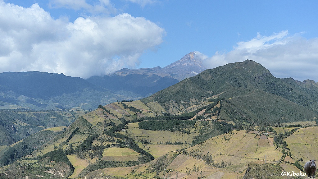Das Bild zeigt eine Berglandschaft. Im Vordergrund ist ein kleinerer Berg. Unten sind Felder mit Baumreihen. Oben ist der Berg komplett mit Nadelbäumen bewachsen. Im Hintergrund ist eine höhere Bergkette mit einem großen Berg mit Felsspitze.