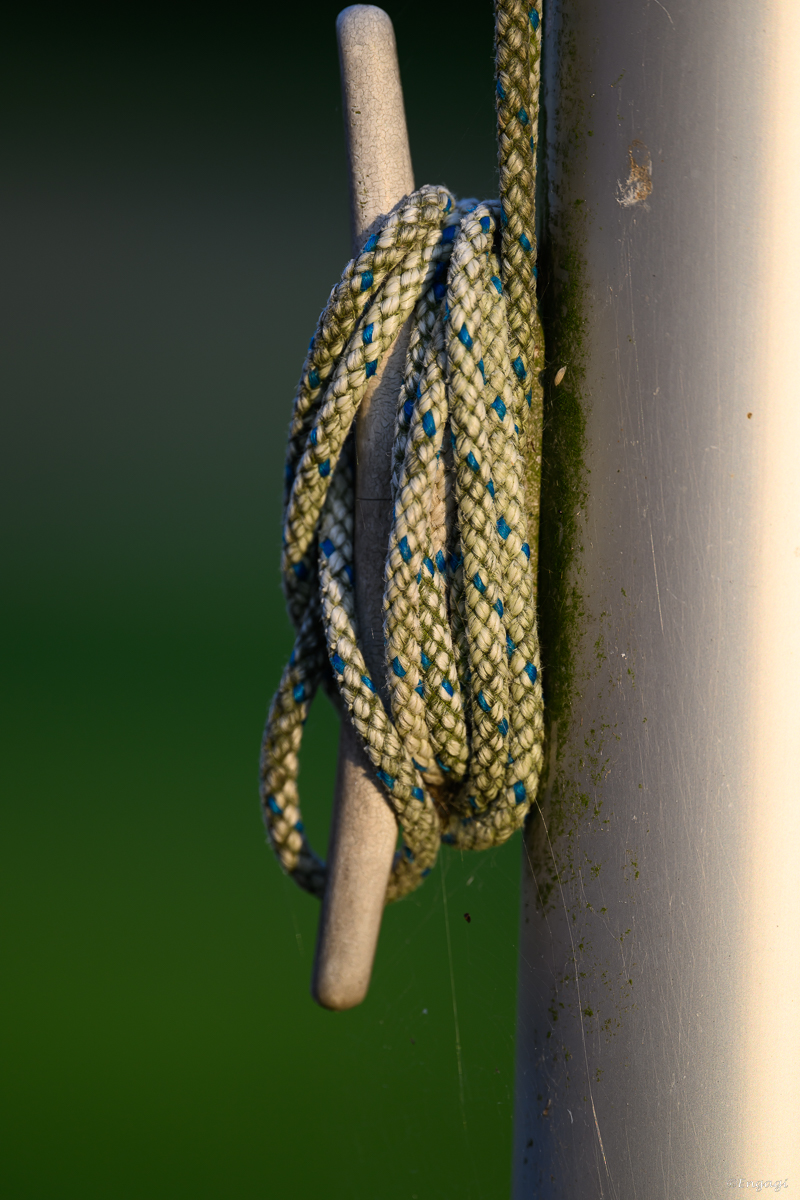 DSC_2915.jpg