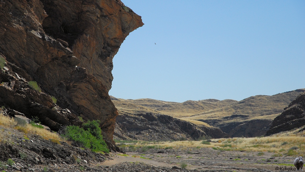 Trockenes Flusstal mit einer steilen Felswand an der linken Seite.