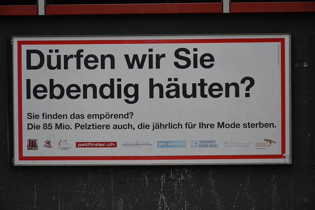 lebendig.jpg