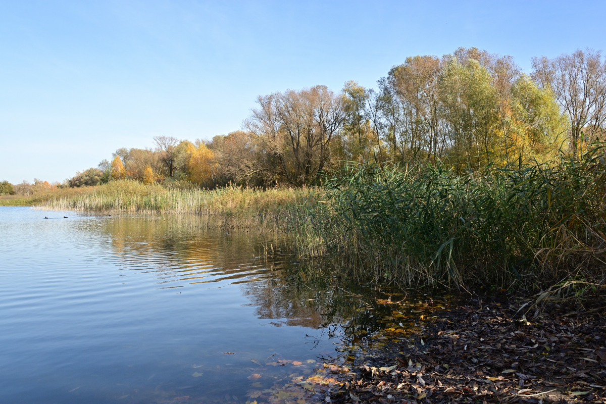 full
