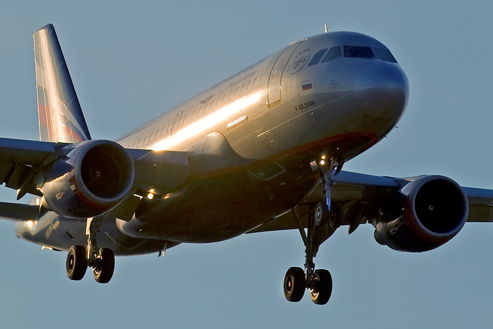 43550258ek.jpg