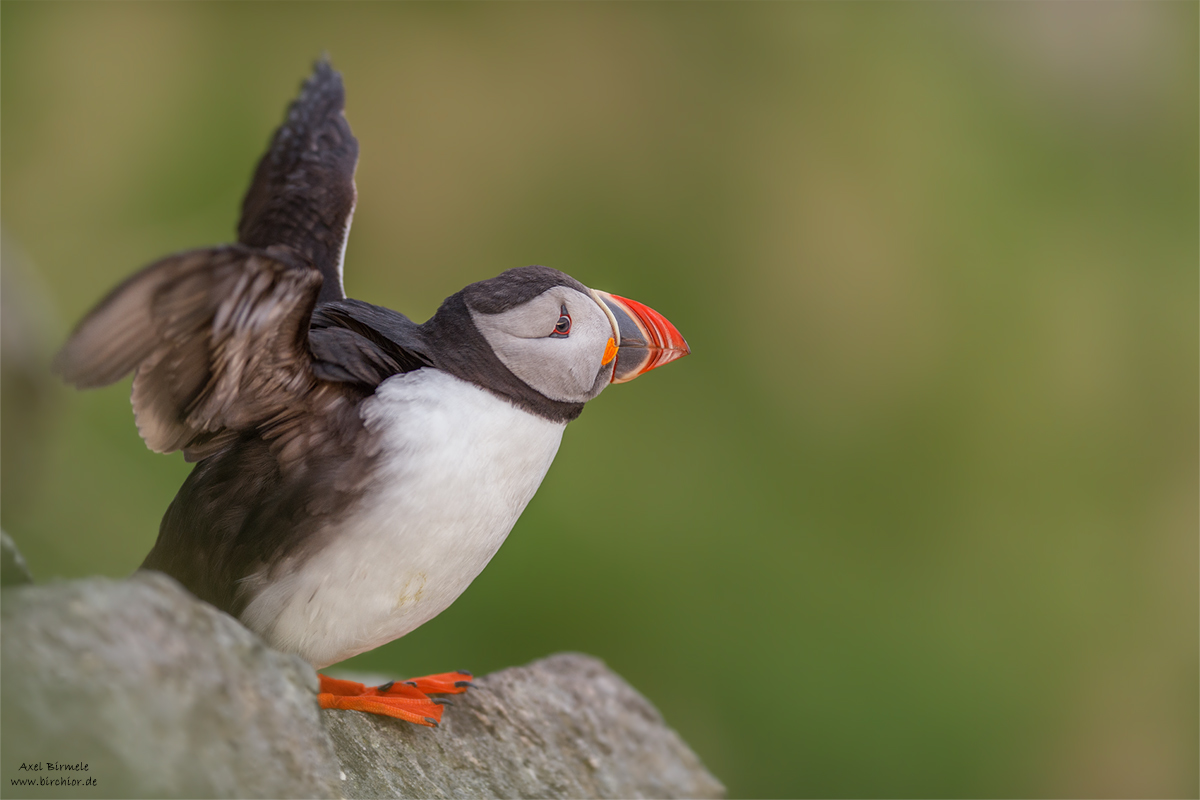20140513_0070_PS_1200Px.jpg